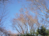 abd947c6.jpg