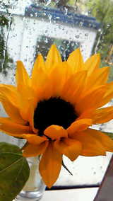 ae170f44.jpg