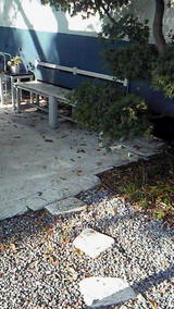 b5c49533.jpg
