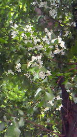 b8fd0f25.jpg