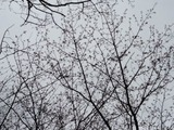 b960371d.jpg