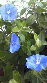 c6e2446e.jpg