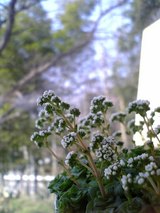 c8754572.jpg