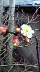 d1bcbc24.jpg