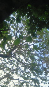 dc8d4b97.jpg
