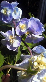 dd48a84f.jpg