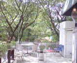 f7aaa138.jpg
