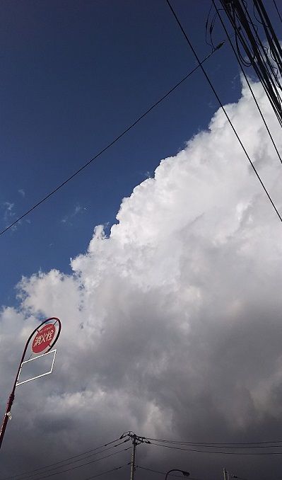 DSC_0237