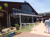 P6100017