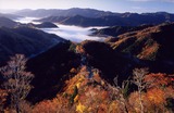 根来峠雲海コンテスト写真