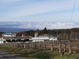 IMG_1516