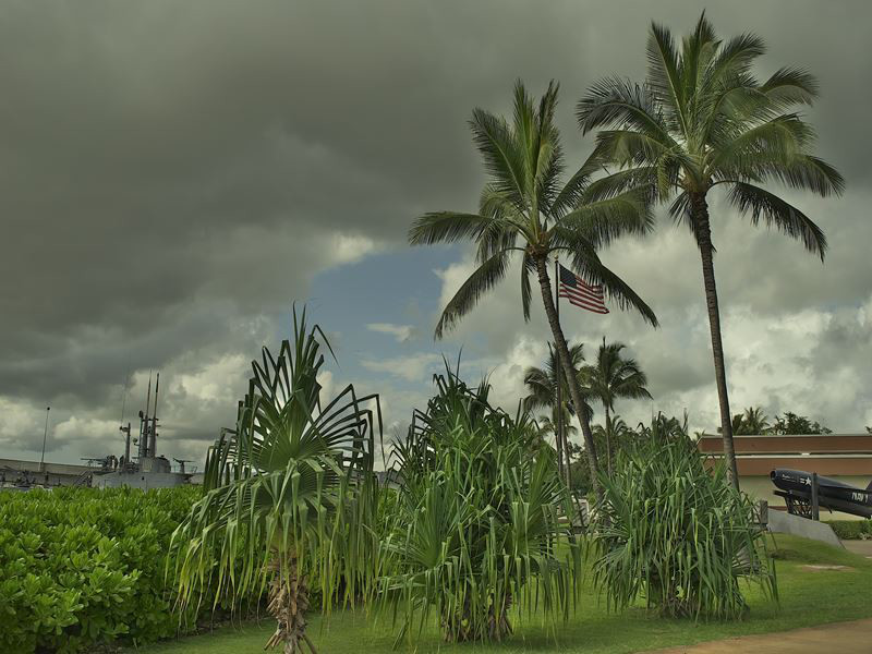 ca99061d.jpg