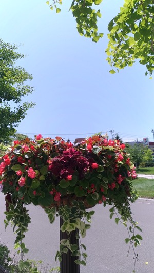 P_20180724_110157_vHDR_Auto