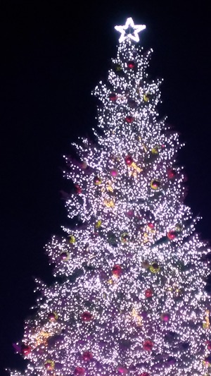 P_20171214_174009_vHDR_Auto
