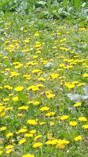 P_20180504_102107_vHDR_Auto