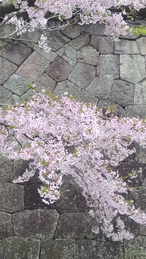 P_20180504_100929_vHDR_Auto