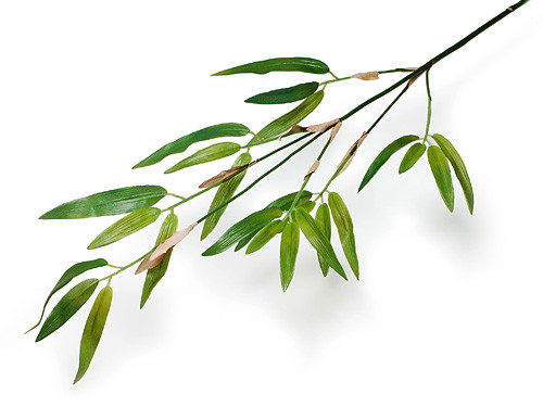 a4