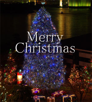 MerryChristmas2011