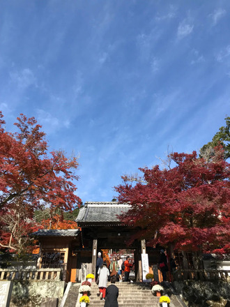 171128-2