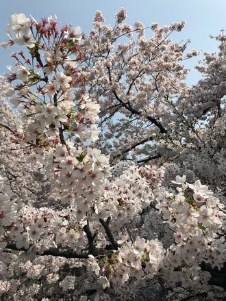 180329-1
