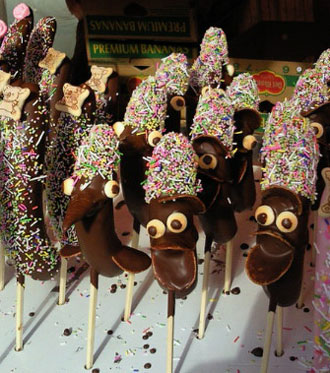 THOSE CHOCOLATE-COVERED BANANAS WERE CALLING MY NAME. : 今日の