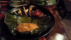 SALSITA