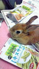 素敵なおくりもの