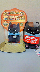 にゃんこ先生まつり
