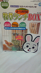 1ヶ月記念プレゼント♪