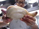 CIMG7661