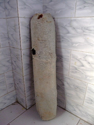 DSCF1391