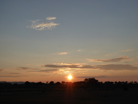 夕日 2