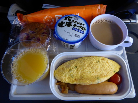 Fiji Airways (7)