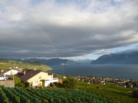 Lavaux (62)