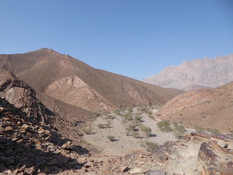 Al Ayn (17)