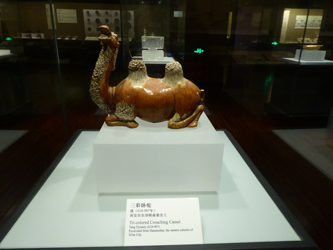 陜西省博物館10