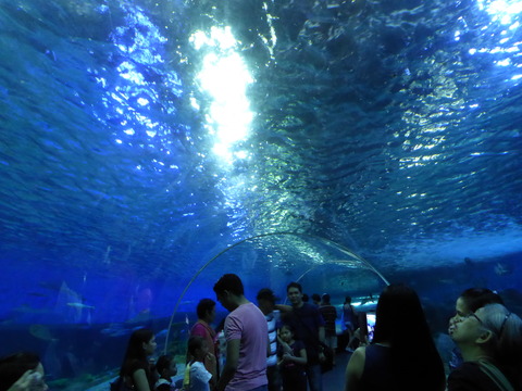Ocean park3