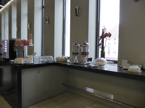 Business Lounge (6)