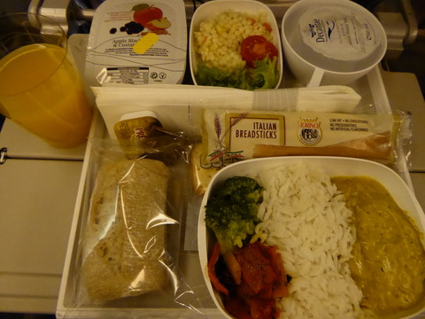 機内食 (1)