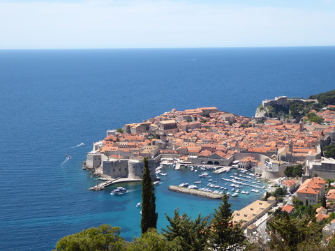 View Point (27)