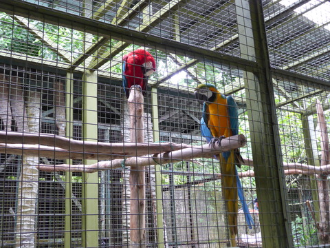 ②Lok Kawi Wild Life Park2