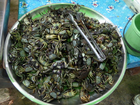 market11