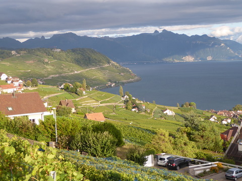 Lavaux (58)