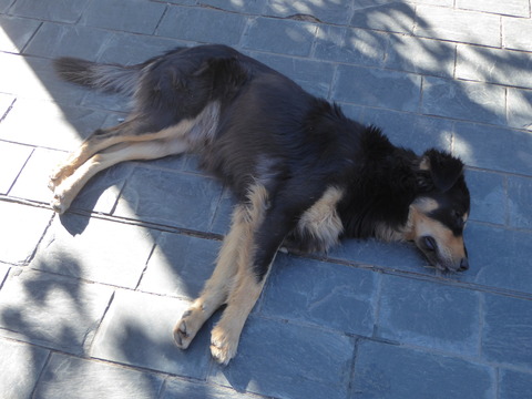 El Calafate (15)