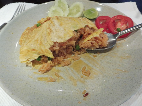㉑Mango tree (6)