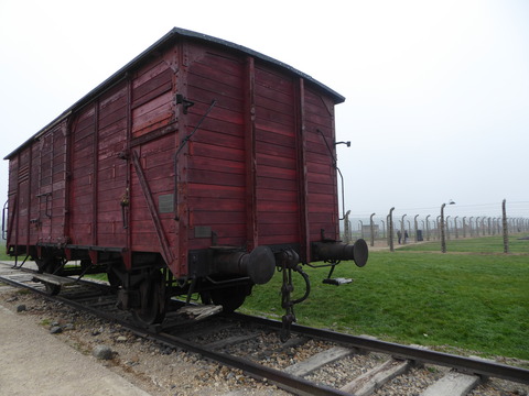 Birkenau (12)