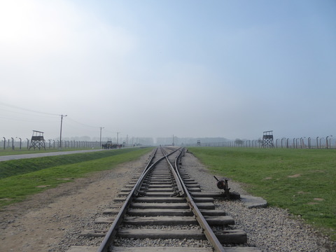 Birkenau (49)
