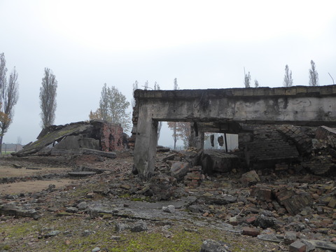 Birkenau (27)