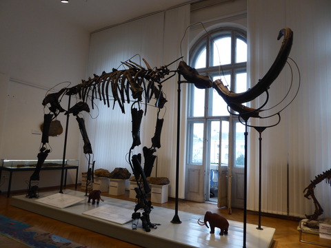 National Gallery (50)