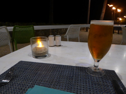 夕食 (3)
